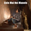 Cele Mai Noi Manele, 2014