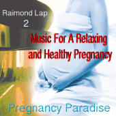 Pregnancy Paradise 2 (Music For A Relaxing and Healthy Pregnancy) - Raimond Lap