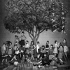 AKB48 - Labrador Retriever