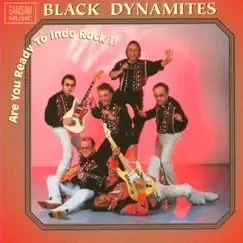 Are You Ready to Indo Rock by The Black Dynamites album reviews, ratings, credits