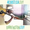 Acousticalevy