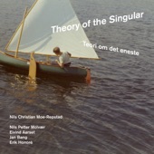 Theory of the Singular artwork