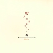 Wandering (Music) artwork