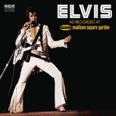 Elvis Presley - Never Been to Spain