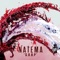 S.O.U.P - Natema lyrics