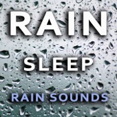 Rain Sleep Rain Sounds artwork