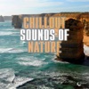 Chillout Sounds of Nature