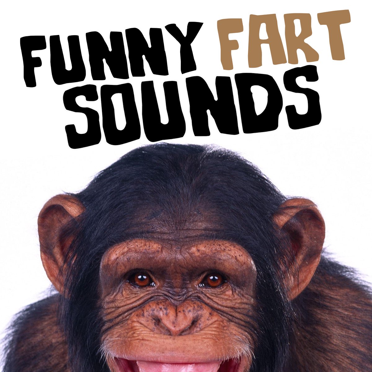Funny Fart Sounds by Fart Sound Effects on Apple Music