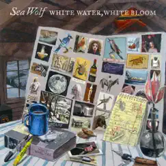 White Water, White Bloom Song Lyrics