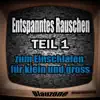 Entspanntes Rauschen, Teil 1 (Zum Einschlafen für klein und groß) album lyrics, reviews, download