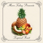 Tropical Fruit artwork