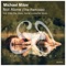 Not Alone (Daniel Loubscher Remix) - Michael Milov lyrics