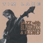 Tim Lake - A Big Fat Blowhard Like You (Studio)