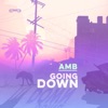 Amb