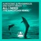 All I Need (Suncatcher Remix) - Aurosonic, Frainbreeze & Katty Heath lyrics