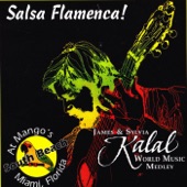 Salsa Flamenca! artwork