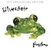 Silverchair - Madman