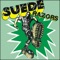 Boys Night Out - Suede Razors lyrics