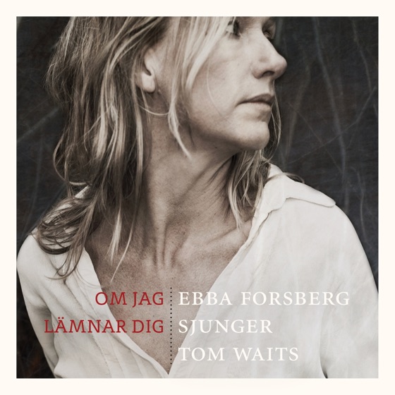 Cover artwork for Omväg Hem