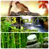 50 Nature Sounds: 3 Hours Relaxing Music for Welness Spa and Massage, Background Instrumental Songs with Singing Birds, Waterfall, Bubbling Brooks & Natural Forest Ambience album lyrics, reviews, download