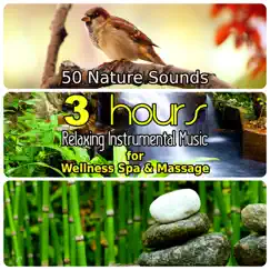 50 Nature Sounds: 3 Hours Relaxing Music for Welness Spa and Massage, Background Instrumental Songs with Singing Birds, Waterfall, Bubbling Brooks & Natural Forest Ambience by Dominika Jurczuk-Gondek album reviews, ratings, credits