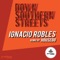 Down Southern Streets (Housego Remix) - Ignacio Robles lyrics