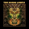 The Dogon Lights