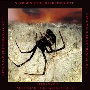 télécharger l'album Lee Bannon - NeverMindTheDarknessOfIt