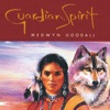 Guardian Spirit, 1996
