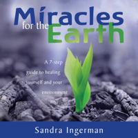Sandra Ingerman - Miracles for the Earth: A Seven-Step Guide to Healing Yourself and Your Environment artwork