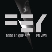 Todo Lo Que Soy (En Vivo) artwork