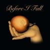 Before I Fall (feat. Sami Freeman) - Single, 2014