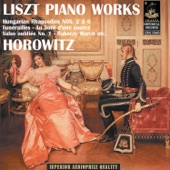 Liszt Piano Works artwork