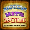 Biggest Hits 2014 - Punjabi Dance Hits