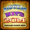 Biggest Hits 2014 - Punjabi Dance Hits, 2014