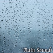 Soothing Rain Sounds artwork