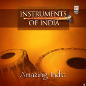 Amazing India (Instruments of India) - Varios Artistas