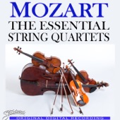 Mozart: The Essential String Quartets artwork