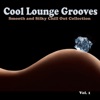 Cool Lounge Grooves, Vol. 1 - Smooth and Silky Chill Out Collection, 2015