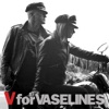 V for Vaselines (Bonus Track Version) artwork