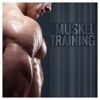 Muskeltraining