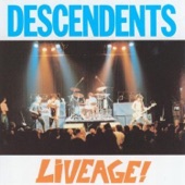 Descendents - Sour Grapes