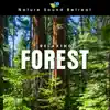 Relaxing Forest Meditation with Birds and Wind album lyrics, reviews, download