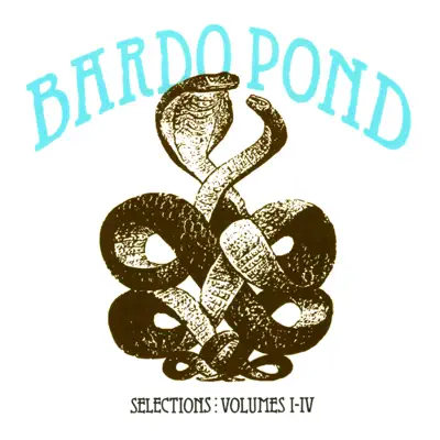 Selections: Volumes 1-4 - Bardo Pond