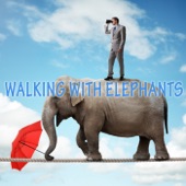 Walking With Elephants (Original Deep House Mix) artwork