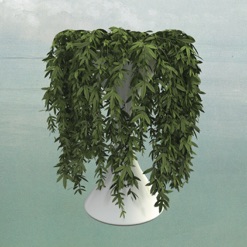 LEASE OF LIFE cover art