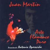 Arte Flamenco Puro artwork