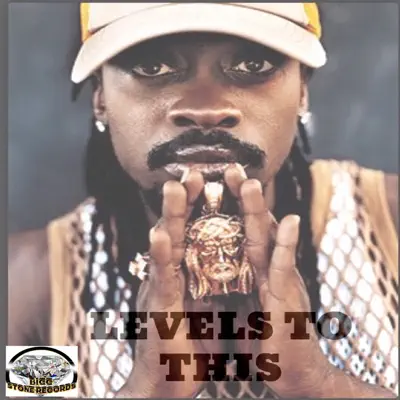 Levels to This - Single - Beenie Man