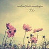 Ambient Fields Soundscapes, Vol. 1