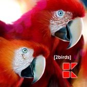 2BIRDS (Extended Mix) artwork